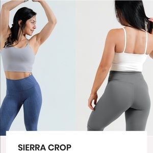 Paragon Crop Top
